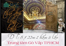 Biệt thự dát vàng 8 x 22m 1 hầm 5 lầu thang máy trung tâm Gò Vấp TP.HCM