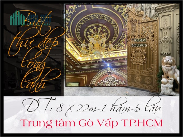 Biệt thự dát vàng 8 x 22m 1 hầm 5 lầu thang máy trung tâm Gò Vấp TP.HCM