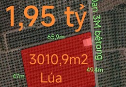 Bán lô đất lúa chuyển thổ hạ giá 1,95 tỷ
