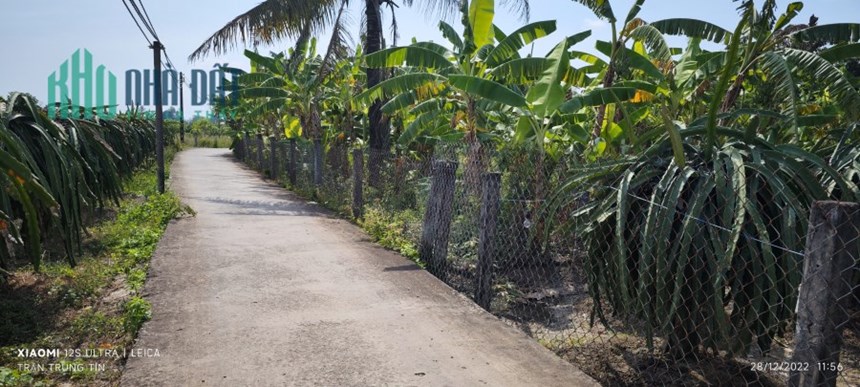 Bán lô đất lúa chuyển thổ hạ giá 1,95 tỷ