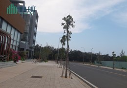 Bán Căn Nhà 3 Tầng Wiew Trực Diện Biển Tuy Hòa -Phú Yên