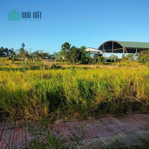 Bán lô Biệt thự E-08 Bảo Lộc Capital, Lộc Sơn, Bảo Lộc