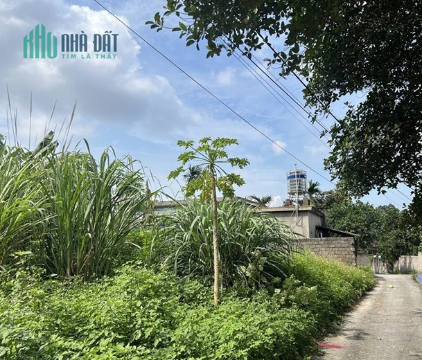 Phát mại 342m2 đất Cẩm Thịnh, Cẩm Phả (Ngõ 400 Trần Quốc Tảng), MT 18,25m, 1.9 tỷ