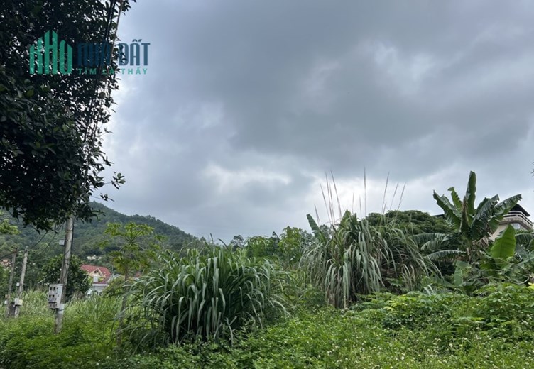 Phát mại 342m2 đất Cẩm Thịnh, Cẩm Phả (Ngõ 400 Trần Quốc Tảng), MT 18,25m, 1.9 tỷ