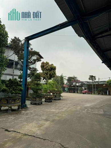KHO, XƯỞNG CHO THUÊ Tại TÂN MINH. SÓC SƠN. H. N