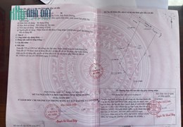 Chính Chủ Cần Bán Đất Tân Uyên (Bình Dương) Đường 12m, Có 1200m Thổ Cư, Giá tốt