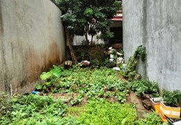 CHÍNH CHỦ BÁN MẢNH ĐẤT THỤY PHƯƠNG - GẦN TRƯỜNG TIỂU HỌC.