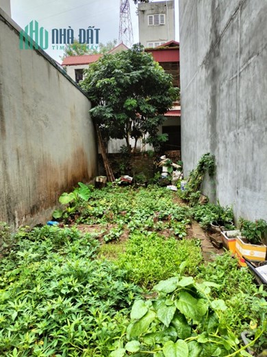CHÍNH CHỦ BÁN MẢNH ĐẤT THỤY PHƯƠNG - GẦN TRƯỜNG TIỂU HỌC.