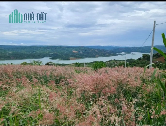 ĐẤT VIEW SÔNG,VIEW MÂY, VIEW ĐỒI THÔNG VEN ĐÀ LẠT