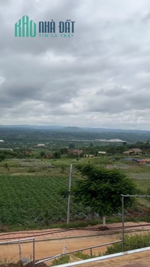 ĐẤT VIEW SÔNG,VIEW MÂY, VIEW ĐỒI THÔNG VEN ĐÀ LẠT