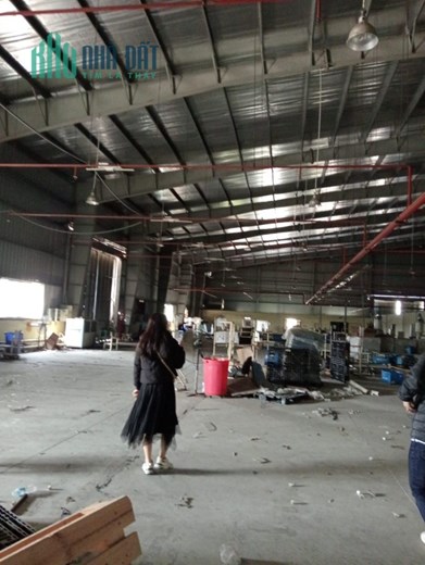 CHO THUÊ NHÀ XƯỞNG tại KCN ĐẠI ĐỒNG. Tỉnh BẮC NINH