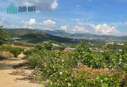 Đất nghỉ dưỡng VIEW ĐỒI THÔNG, VIEW XÓM NHỎ ven ĐÀ LẠT - 750 Triệu