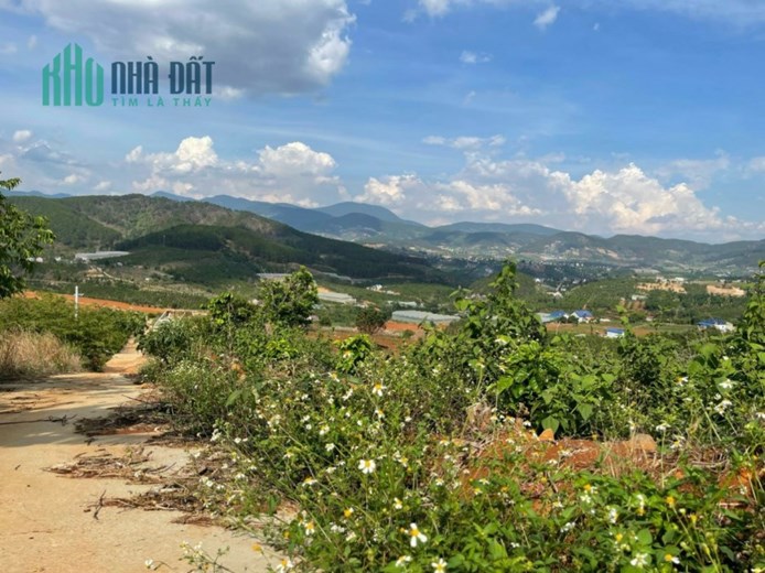 Đất nghỉ dưỡng VIEW ĐỒI THÔNG, VIEW XÓM NHỎ ven ĐÀ LẠT - 750 Triệu