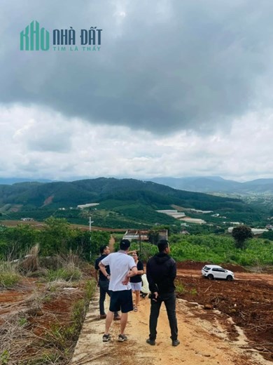 Đất nghỉ dưỡng VIEW ĐỒI THÔNG, VIEW XÓM NHỎ ven ĐÀ LẠT - 750 Triệu