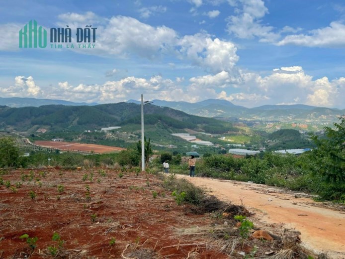 Đất nghỉ dưỡng VIEW ĐỒI THÔNG, VIEW XÓM NHỎ ven ĐÀ LẠT - 750 Triệu