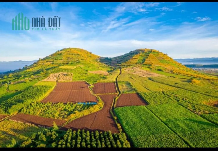 ĐẤT ĐỨC TRỌNG, ĐƯỜNG XÁ THUẬN TIỆN, GIÁ 550 TRIỆU