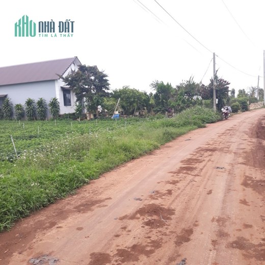 ĐẤT ĐỨC TRỌNG, ĐƯỜNG XÁ THUẬN TIỆN, GIÁ 550 TRIỆU