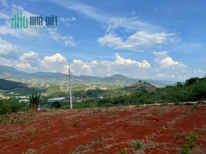 ĐẤT NGHỈ DƯỠNG VIEW ĐỒI THÔNG, VIEW TẦM NHÌN XA 20 - 30KM