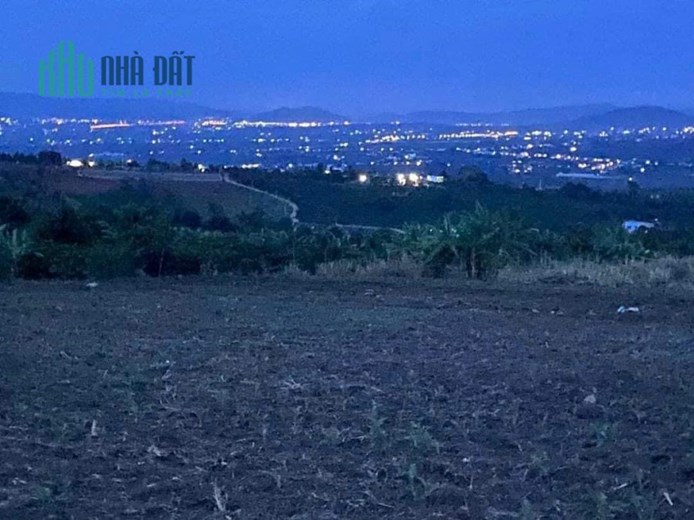 ĐẤT NGHỈ DƯỠNG VIEW ĐỒI THÔNG, VIEW TẦM NHÌN XA 20 - 30KM