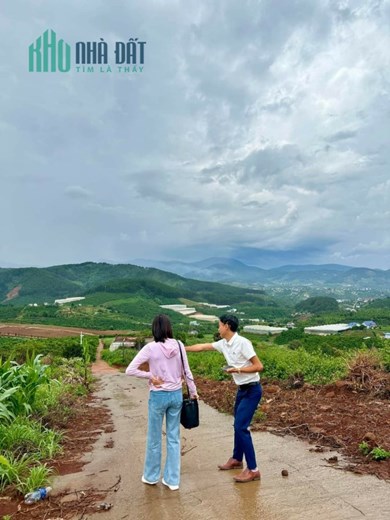 ĐẤT NGHỈ DƯỠNG VIEW ĐỒI THÔNG, VIEW TẦM NHÌN XA 20 - 30KM