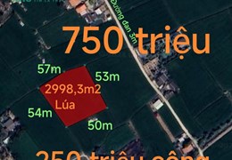 Bán gấp lô đất lúa giá 750 triệu