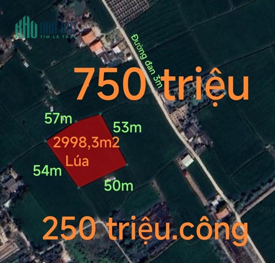 Bán gấp lô đất lúa giá 750 triệu