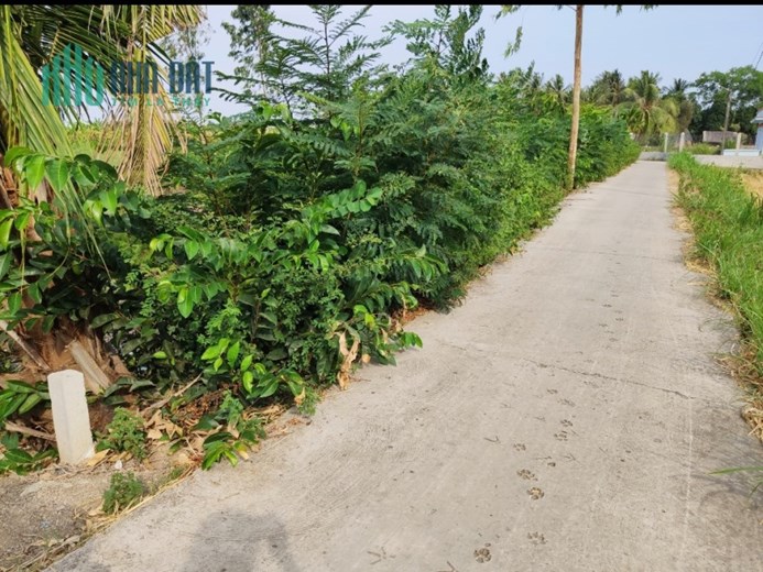 Bán gấp lô đất lúa giá 750 triệu
