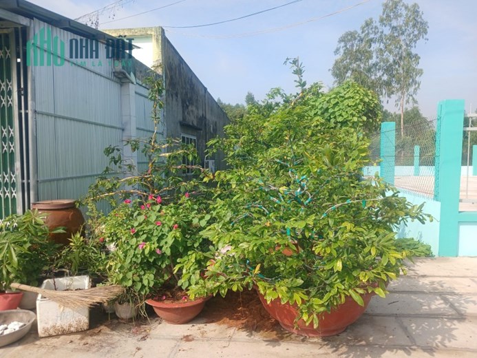 5x20m đất mặt tiền đường khu dân cư  thị trấn Mỹ Phước,Tân Phước,Tiền Giang