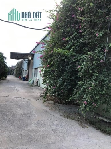 CHUYỂN NHƯỢNG NHÀ XƯỞNG tại MẶT ĐƯỜNG QL 39A. HƯNG YÊN