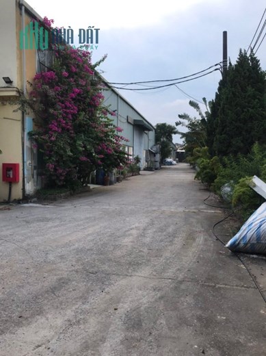 CHUYỂN NHƯỢNG NHÀ XƯỞNG tại MẶT ĐƯỜNG QL 39A. HƯNG YÊN