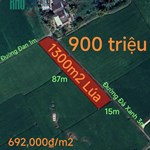 Bán gấp lô đất lúa hai mặt tiền xã Đức Tân giá 900 triệu