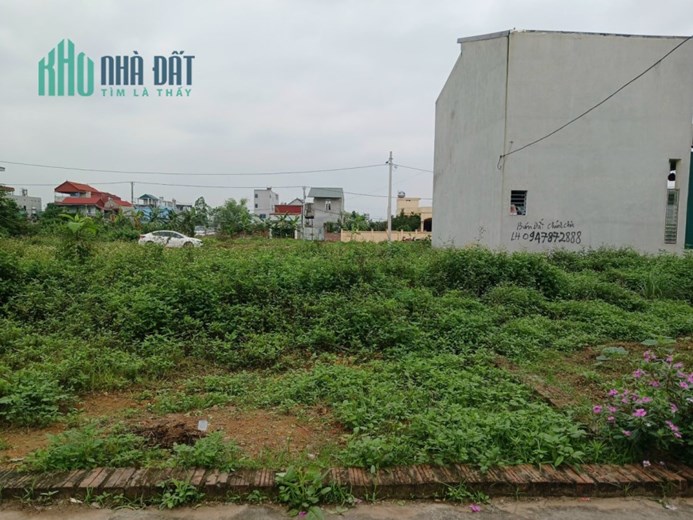 Bán đất Quang Minh, Mê Linh, HN. Gần trường CD Y Dược Tuệ Tĩnh. Dt 66m, giá 2,05 tỷ.