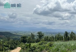 ĐẤT NGHỈ DƯỠNG VEN ĐÀ LẠT, TẦM NHÌN XA VÀI CHỤC CÂY SỐ