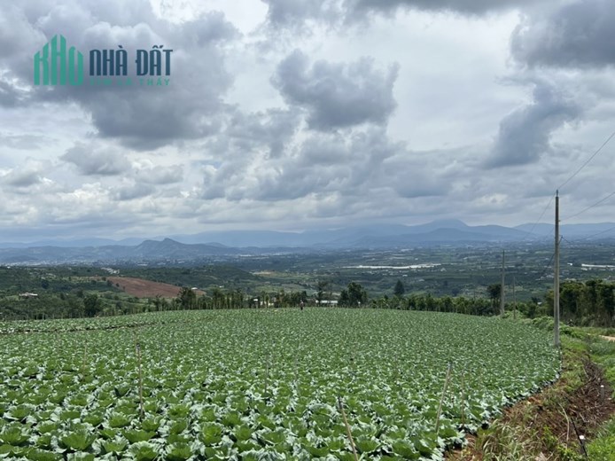 ĐẤT NGHỈ DƯỠNG VEN ĐÀ LẠT, TẦM NHÌN XA VÀI CHỤC CÂY SỐ
