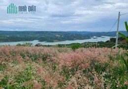 ĐẤT NGHỈ DƯỠNG VIEW SÔNG LỚN, VEN ĐÀ LẠT