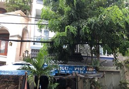 Bán đất tặng nhà mặt tiền đường 14m – Tân Phú. DT 4x20m, đúc 3 tấm chỉ hơn 8 tỷ