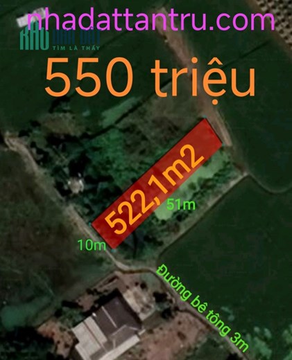 Bán gấp lô đất cây lâu năm giá 550 triệu