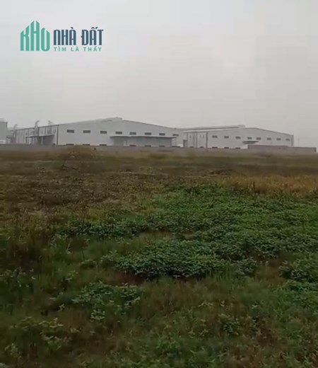 CHUYỂN NHƯỢNG Đất CN Tại Huyện KIM ĐỘNG. HƯNG YÊN
