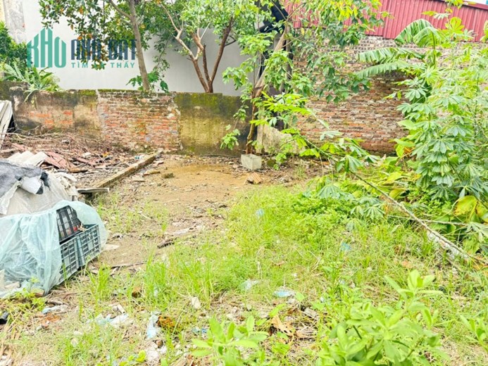 Bán đất Trung Hậu, Tiền Phong, Mê Linh, HN. Ô tô đỗ. DT 46m, giá 1,85 tỷ.