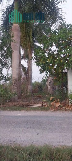 Chính Chủ Cần Bán GẤP Lô Đất Thị trấn Đông Thành Khu Đông Dân Cư , Giá Cực Tốt