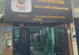 Bán gấp nhà hẻm ô tô Tân Hương, DT 4x21m, nhà mới