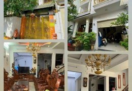 Biệt thự hẻm 8m Bờ Bao Tân Thắng ngay chợ Sơn Kỳ DT 8.5x18m, 3 tầng