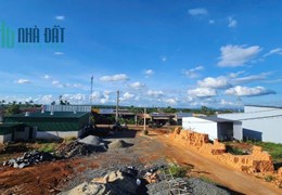 Tại Sao Đất Phú Lộc, Đắk Lắk Đang Là Mỏ Vàng Cho Nhà Đầu Tư
