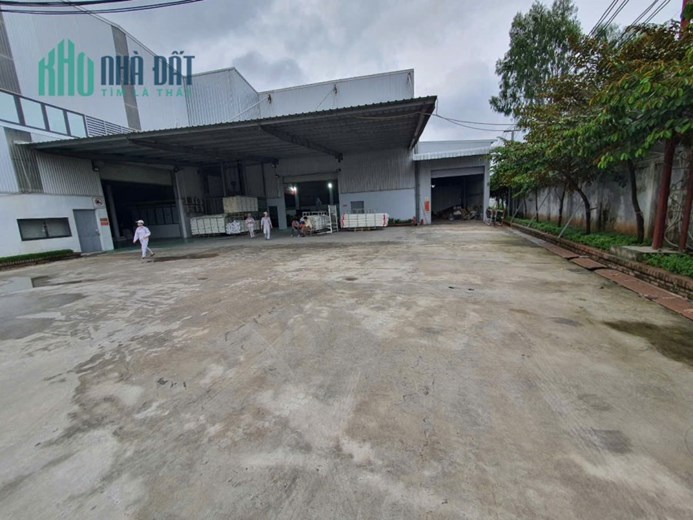 CHO THUÊ KHO, XƯỞNG tại VÂN NỘI. ĐÔNG ANH. HÀ NỘI