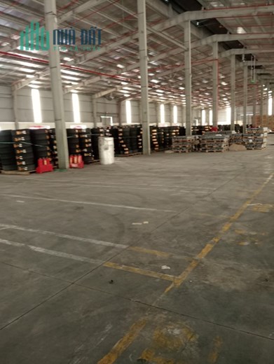 CHO THUÊ KHO TIÊU CHUẨN Tại KCN HÀ BÌNH PHƯƠNG. THƯỜNG TÍN. HÀ NỘI