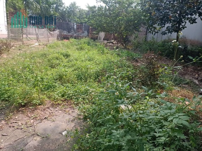 Bán 250m đất thôn Mỹ Lộc, Thanh Lâm, Mê Linh, HN. Lô góc. Oto chạy quanh. Giá 7 tỷ.