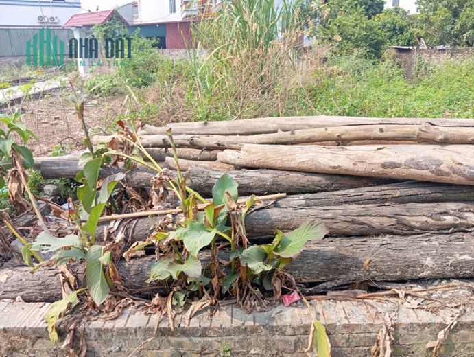 Bán đất Quang Minh, Mê Linh, HN. Ba bước chân KCN Quang Minh. DT 92m, giá 2,95 tỷ.