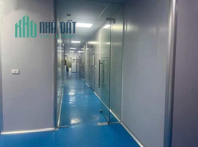 CHO THUÊ XƯỞNG Tại Xã BẮC HỒNG . Huyện ĐÔNG ANH. HÀ NỘI