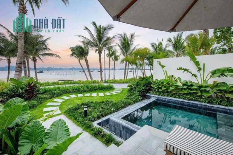 Siêu phẩm Biệt thự biển Hạ Long một bước chạm cát giá từ 150 triệu/m2. Số lượng hữu hạn. Mua ngay!!