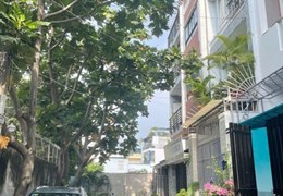 Bán Nhà Mặt Tiền 4,6×19 Tân Sơn Gò Vấp Giảm Gan 3 Tỷ chỉ 11 Tỷ Nhỏ